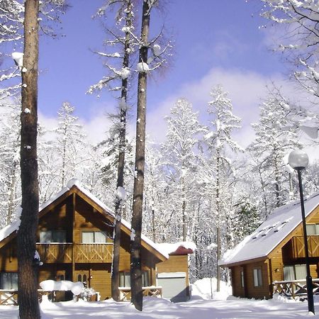 Log Cottage Epoch Hakuba Exterior foto