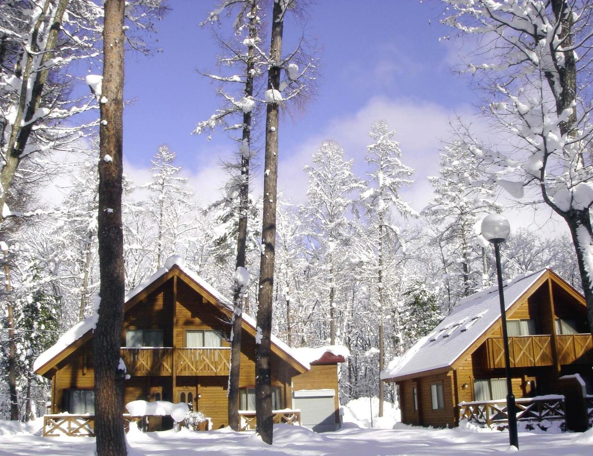 Log Cottage Epoch Hakuba Exterior foto